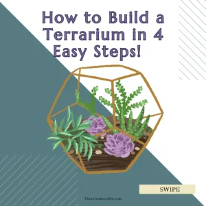 How to Build a Terrarium in 4 Easy Steps!