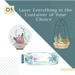 what you need to build a terrarium 